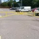 Steel swing arm gates in Essex